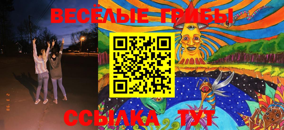 Псилоцибиновые грибы Cubensis Касимов